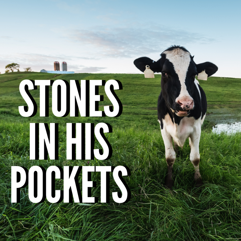 Stones in his Pockets at Weathervane Theatre